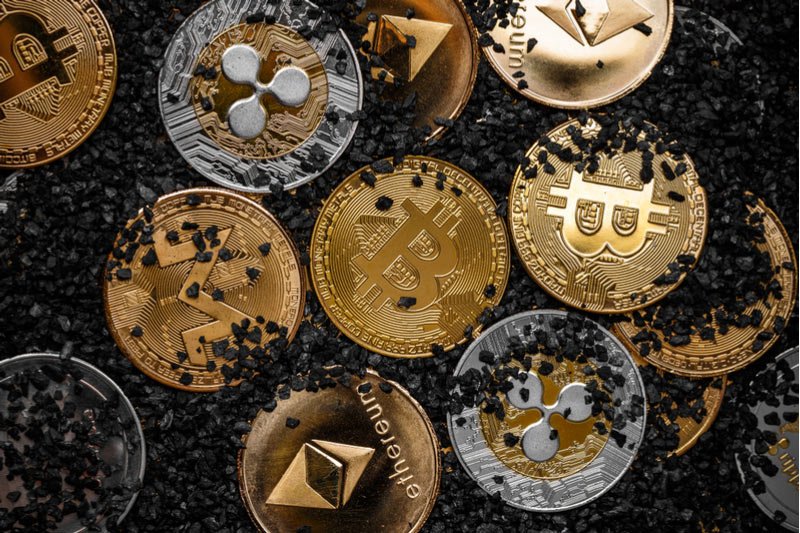 Qubic e Bored Ape Yacht Club realizam um evento exclusivo sobre criptomoedas em Seul.