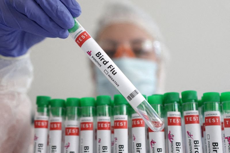 © Reuters. FILE PHOTO: A person holds a test tube labelled